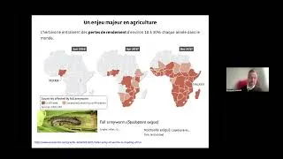 Miniature : Secret défense chez les plantes : stratégies chimiques de défense contre les insectes, E. Gaquerel