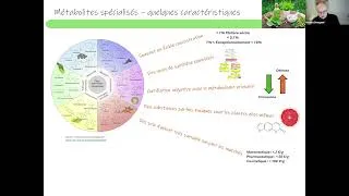 Miniature : Des plantes aux plateformes de production. L’avenir des métabolites spécialisés, Frédéric Bourgaud