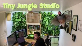 Miniature : Un moment calme dans mon studio 🌿