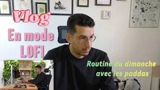 Miniature : Vlog LOFI 🌿 Un Dimanche calme dans mon studio avec les Paddas