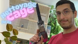 Miniature : Je nettoie la cage de mes Paddas 🧼 | Changement du fond abîmé par l’eau du bain 🐦💦