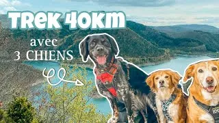 Miniature : Trek avec 3 Chiens au Lac d’Avène 40km | VLOG ⛺️