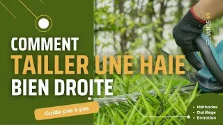 Miniature : Comment tailler une haie parfaitement droite | Techniques simples pour un jardin parfait