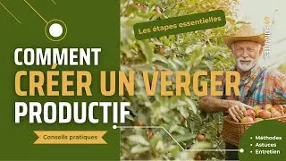 Miniature : Créer un verger facilement : étapes clés pour cultiver vos arbres fruitiers à la maison
