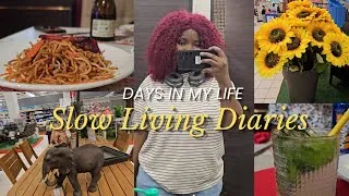 Miniature : cooking days at home | slow living, grocery haul| Life in France as a Nigerian woman🇫🇷