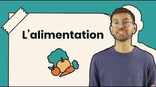 Miniature : Végétaliser l'alimentation : tout un art !