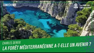 Miniature : "La forêt méditerranéenne a-t-elle un avenir ?". Une conférence de Charles Dereix