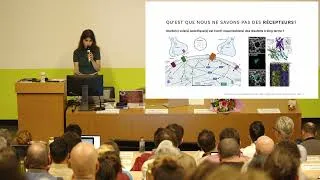 Miniature : Perspective de la recherche préclinique en neurosciences autour du LSD