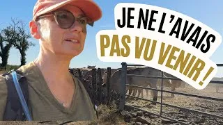 Miniature : J’ai eu une énorme peur sur le chemin de Compostelle… | Mon aventure continue avec Tao