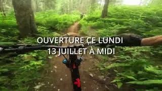 Miniature : La nouvelle LB -1 avec JimBOOOO