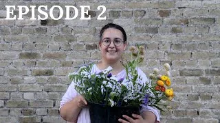 Miniature : Je fais pousser les fleurs pour mon mariage ! #2