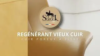 Miniature : REGÉNÉRANT VIEUX CUIR : comble les porosités et rend un cuir lisse et étanche