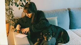Miniature : your french friend search in her pencil case (soft spoken asmr)
