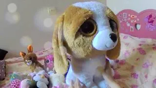 Miniature : Ma collection de peluches TY Beanie Boo
