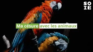 Miniature : Ma césure avec les animaux