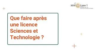 Miniature : Que faire après une licence Sciences et Technologie ?