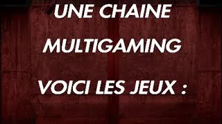 Miniature : [FR]Multigaming montage / Avenir de la chaine ?