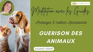 Miniature : Meditation avec les guides spirituels : 🐾 Guérison des animaux 🐈‍⬛