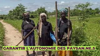 Miniature : Agroécologie et préservation de la biodiversité en Afrique de l'Ouest : le rôle de la COPAGEN