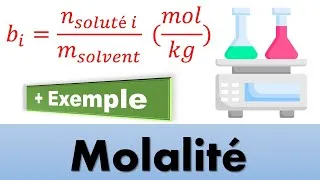 Miniature : La Molalité (Physique-Chimie)