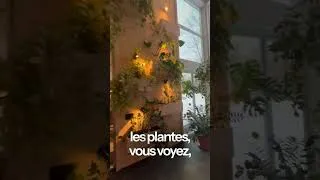 Miniature : Une serre pour les plantes... ou pour les humains ? 🌱🛋️