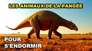 Miniature : Les Faits Les Plus Relaxants Sur Les Animaux De La Pangée Pour S’Endormir