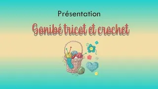 Miniature : Présentation de Sonibé tricot et crochet