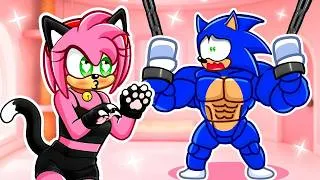 Miniature : UN CHAT à CAPTURÉ SONIC dans SA PRISON Roblox…