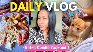 Miniature : Le retour 🤍 Notre famille s'agrandit 🐈 | Courses, poulet mayo & un moment entre nous | Vlog🎀