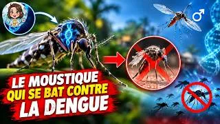 Miniature : Des scientifiques créent des moustiques mutants pour combattre la dengue !