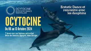 Miniature : Présentation du Voyage Ocytocine: Ecstatic Dance et Rencontre avec les Dauphins
