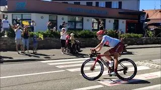 Miniature : Tour de France 2019 - 5 Étapes - Alsace - Ammerschwihr