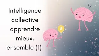 Miniature : vidéo 13  Intelligence collective  apprendre mieux, ensemble 1