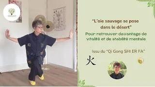 Miniature : ☯️ Ancrage, stabilité mentale et ouverture du Coeur avec ce Qi Gong