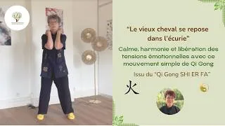 Miniature : ☯️Harmonie, Calme et Ancrage avec cet exercice de Qi Gong tout en douceur