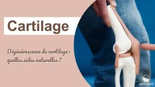 Miniature : Cartilage et articulations : quelles aides naturelles ?