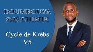 Miniature : cycle de Krebs V5: Régulation du cycle de Krebs