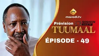 Miniature : Série - tuumaal - Épisode 49 - VOSTFR - Prévision Analyse