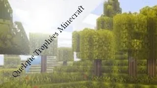 Miniature : Minecraft Trophée
