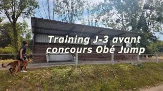 Miniature : Entrainement Tayko (J-3 avant notre concours d'obé Jump expert2)