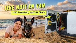 Miniature : Première nuit en van à la mer avec 2 chiens! (dont un chiot de tout juste 3mois 🤩)