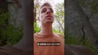 Miniature : Délire dans la nature Suivre le ruisseau 🌲