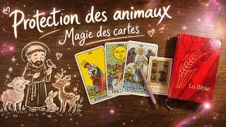 Miniature : Rituel 🐶🐥🐱 Protection des animaux #magiedescartes