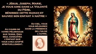 Miniature : Juillet 2026 - ND de Guadalupe - Adoption spirituelle