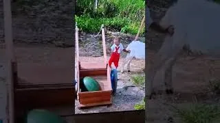 Miniature : 🤣🤣🤣travail ⚒ paye