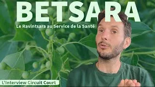 Miniature : Betsara : Le Ravintsara au Service de la Santé | L'Interview Circuit Court | Source Shop