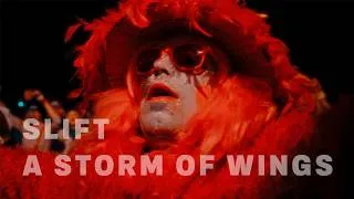 Miniature : SLIFT - A STORM OF WINGS