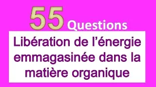 Miniature : Concours ISPITS. 55 questions: Libération de l’énergie emmagasinée dans la matière organique