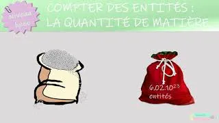 Miniature : Compter des entités: la quantité de matière | 2sde| Lycée | Physique-chimie