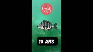 Miniature : 10 Astuces De Pêche a Ne Pas Rater